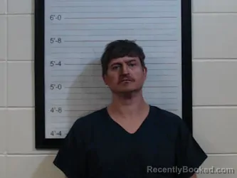 Mugshot of BRANDON LEE MCLENDON