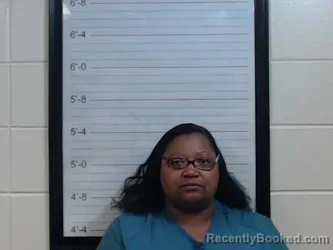 Mugshot of LINDSAY D IRVING