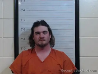 Mugshot of JASON BRODY HORTON