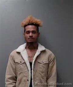 Mugshot of LEVITCUS GARNER