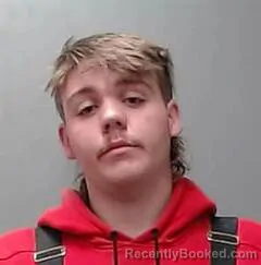 Mugshot of JOHNNY WILLIAMS