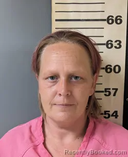 Mugshot of ERICA NICOLE PARTIN