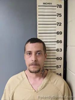 Mugshot of BOBBY JOE STANTON