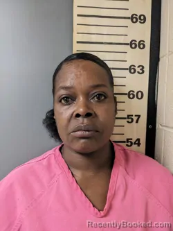 Mugshot of STEPHANIE MICHELLE LANE