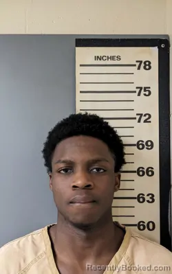 Mugshot of ISAIAH DEMARCO MOULTRIE
