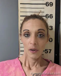 Mugshot of DONELLE ELIZABETH JAMES