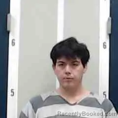 Mugshot of NATHAN AMILCAR PALOMO