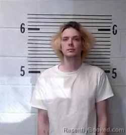 Mugshot of C NELSON