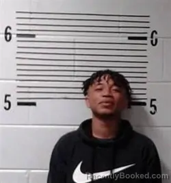 Booking photo from Elmore County, Alabama