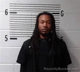 Booking photo from Elmore County, Alabama