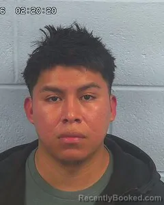 Booking photo from Etowah County, Alabama