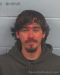 Booking photo from Etowah County, Alabama