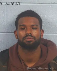 Mugshot of LATAVIOUS WILLIAMS