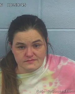 Mugshot of MEAGAN UPTON