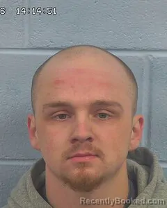 Mugshot of NICOLAS JOHNSON