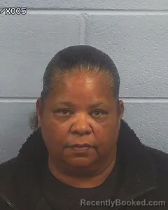 Mugshot of CHERYL JOHNSON