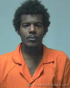 Mugshot of THOMAS MITCHELL