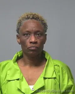 Mugshot of ELIZABETH BROWN