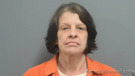 Mugshot of SHEENA RONSIE LINER