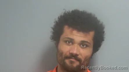 Mugshot of PAUL MATTHEW PICHON