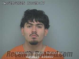 Booking photo from Beaufort County, South Carolina