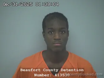 Booking photo from Beaufort County, South Carolina