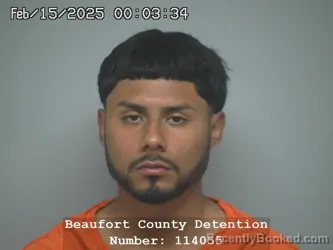 Mugshot of NESTOR ELOY SANTIAGO TACUBA