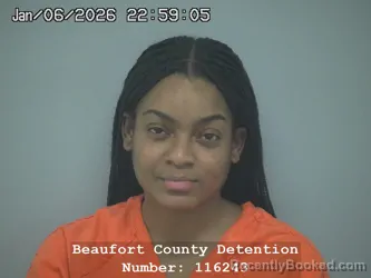Mugshot of KALEAH NELSON