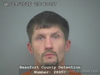 Mugshot of JEFFERY LW COLLINS