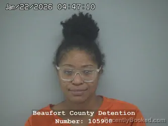 Mugshot of DESIREE ELAINE BOSTICK-HARRIS