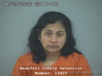 Mugshot of GUILLERMINA CHAVEZ CHAVEZ-HERNANDEZ