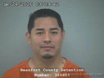 Mugshot of MARIO ALBERTO CHAVEZ LEDEZMA