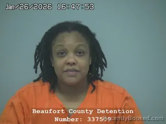 Mugshot of WHITNEY SADE ANDERSON