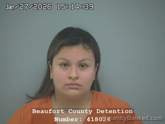 Mugshot of MARY ANGEL MOURABIT