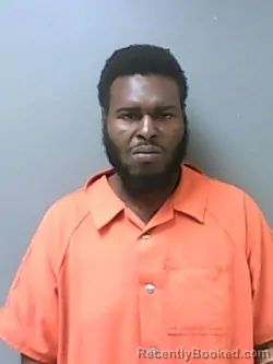 Mugshot of REGINALD E GEORGE