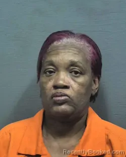 Mugshot of Dianna Clara Howard