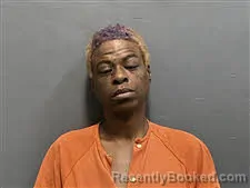 Mugshot of Donna Evette Whigham