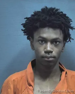 Mugshot of Dakota Chase Owens