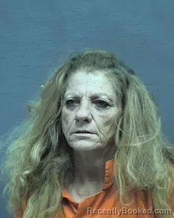 Mugshot of SANDRA DIANA SANCHEZ