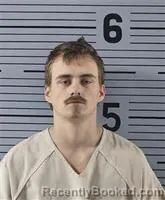 Mugshot of DAMON BRYANT