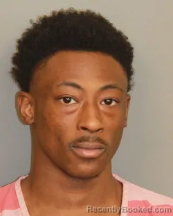 Mugshot of JOSHUA DE'ALBERT MUSE