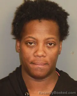 Mugshot of BERNITA JOHNSON