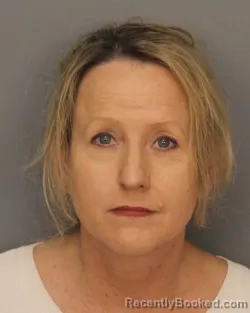 Mugshot of ALLYSON SANDERS GILSTRAP