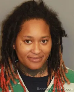 Mugshot of AMANDA SHANTE CAVER