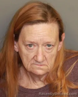 Mugshot of MELODY JOYCE RIDER