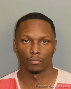 Mugshot of LELAND TYLER JENKINS