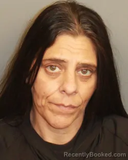 Mugshot of BRANDY MARIE PHILLIPS