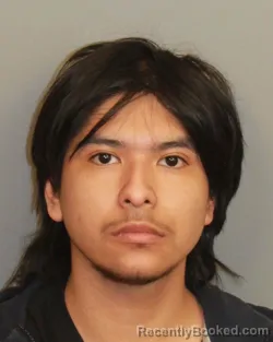 Mugshot of OSMAR VIVERO PORTILLO