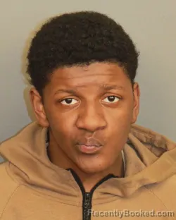 Mugshot of MICHAEL DEWYANE Junior LEASURE