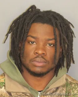 Mugshot of JAMARLIN ARMON ALBERT